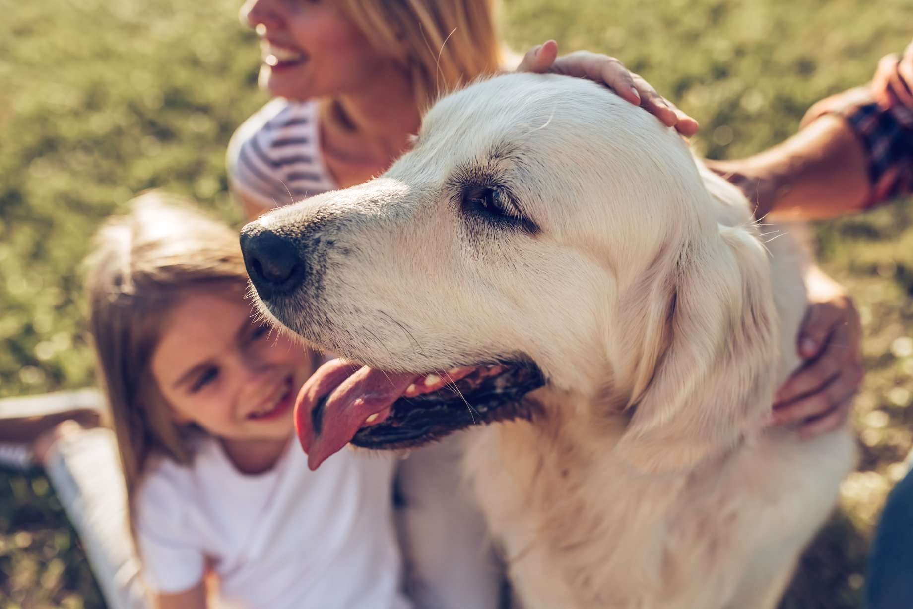 kid and dog