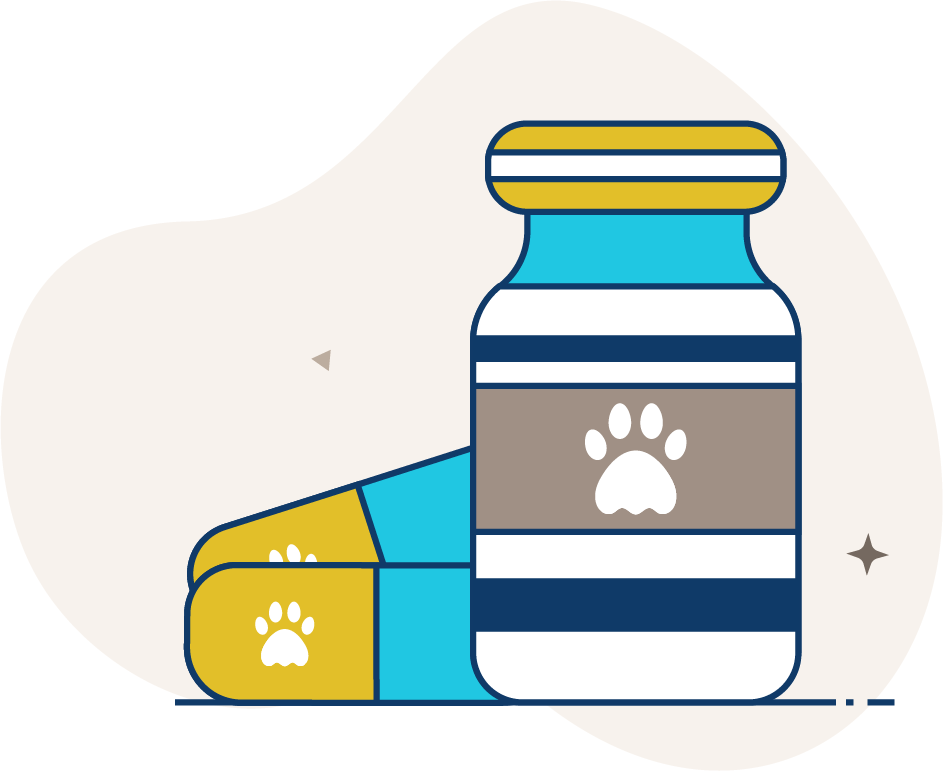Pet Medication Icon